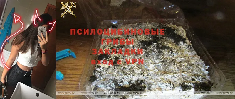 где можно купить   ссылка на мегу онион  Псилоцибиновые грибы Psilocybine cubensis  Валуйки 